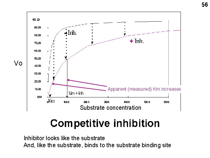 56 - + Vo Apparent (measured) Km increases Substrate concentration Inhibitor looks like the