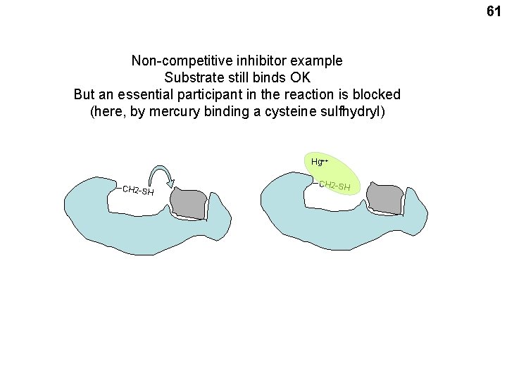 61 Non-competitive inhibitor example Substrate still binds OK But an essential participant in the