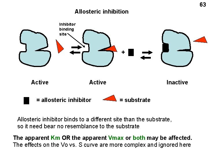 63 Allosteric inhibition Inhibitor binding site + Active = allosteric inhibitor Inactive = substrate