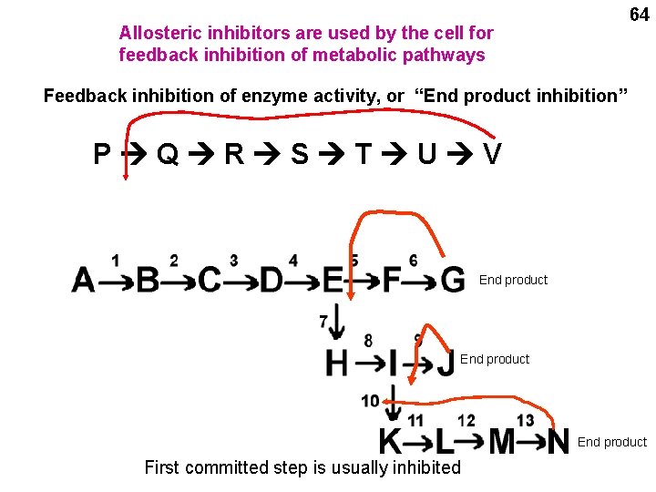 64 Allosteric inhibitors are used by the cell for feedback inhibition of metabolic pathways