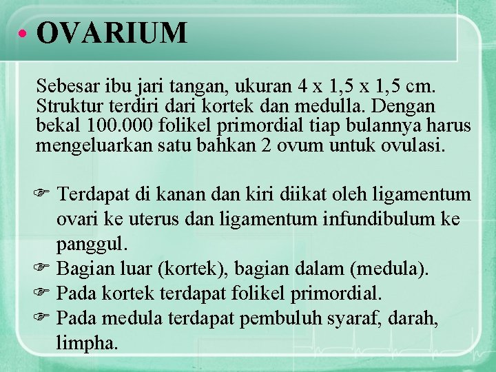  • OVARIUM Sebesar ibu jari tangan, ukuran 4 x 1, 5 cm. Struktur