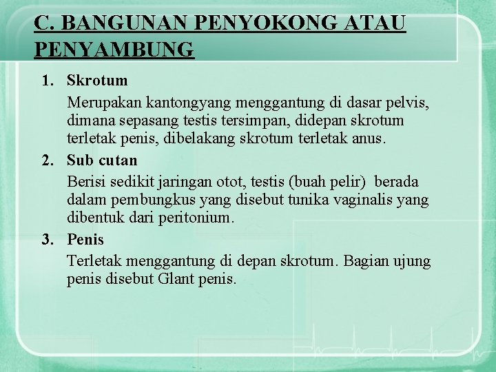 C. BANGUNAN PENYOKONG ATAU PENYAMBUNG 1. Skrotum Merupakan kantongyang menggantung di dasar pelvis, dimana
