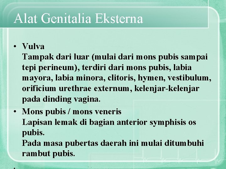 Alat Genitalia Eksterna • Vulva Tampak dari luar (mulai dari mons pubis sampai tepi