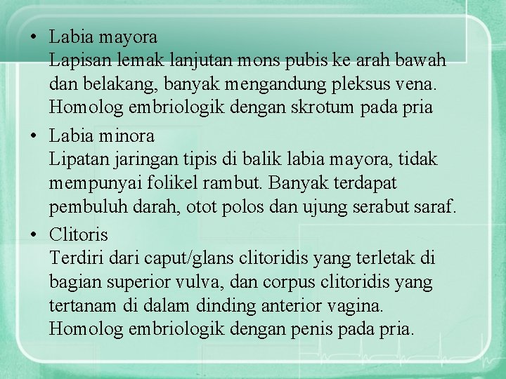  • Labia mayora Lapisan lemak lanjutan mons pubis ke arah bawah dan belakang,