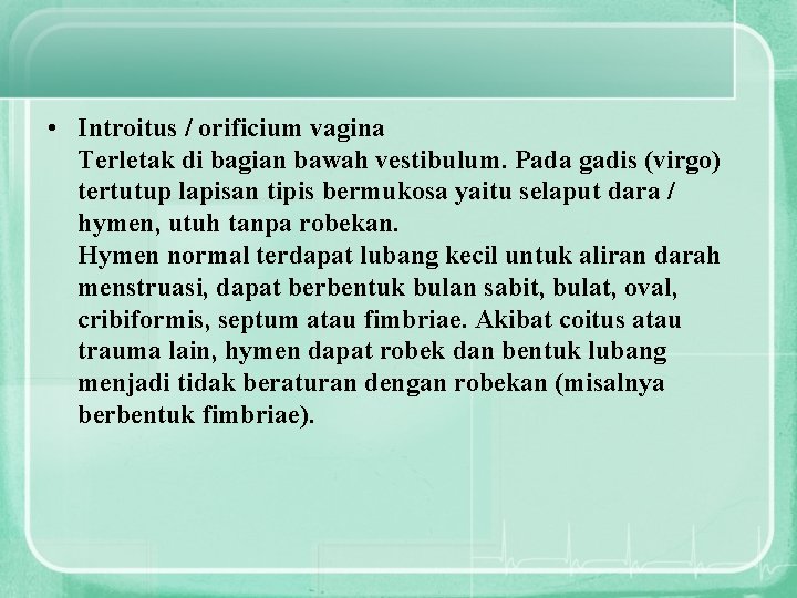  • Introitus / orificium vagina Terletak di bagian bawah vestibulum. Pada gadis (virgo)
