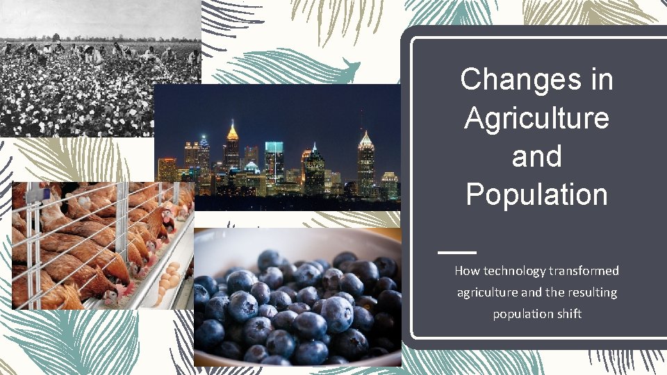 Changes in Agriculture and Population How technology transformed agriculture and the resulting population shift