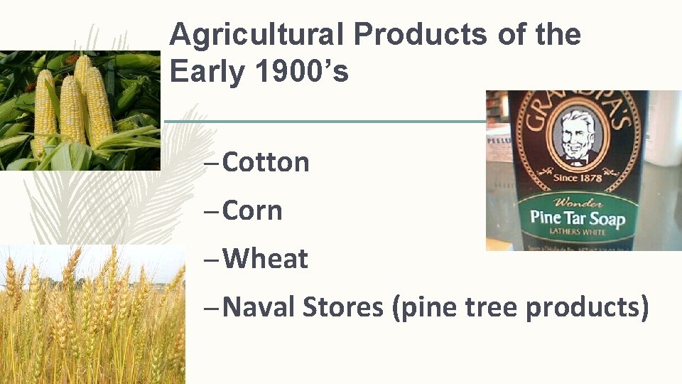 Agricultural Products of the Early 1900’s – Cotton – Corn – Wheat – Naval