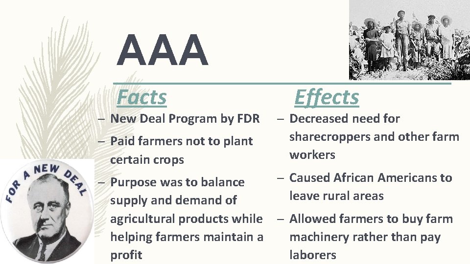 AAA Facts – New Deal Program by FDR – Paid farmers not to plant
