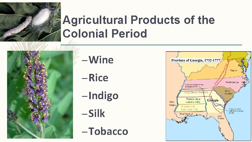 Agricultural Products of the Colonial Period – Wine – Rice – Indigo – Silk