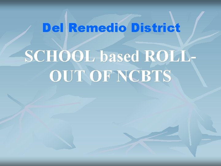 Del Remedio District SCHOOL based ROLLOUT OF NCBTS 