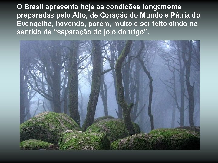 O Brasil apresenta hoje as condições longamente preparadas pelo Alto, de Coração do Mundo