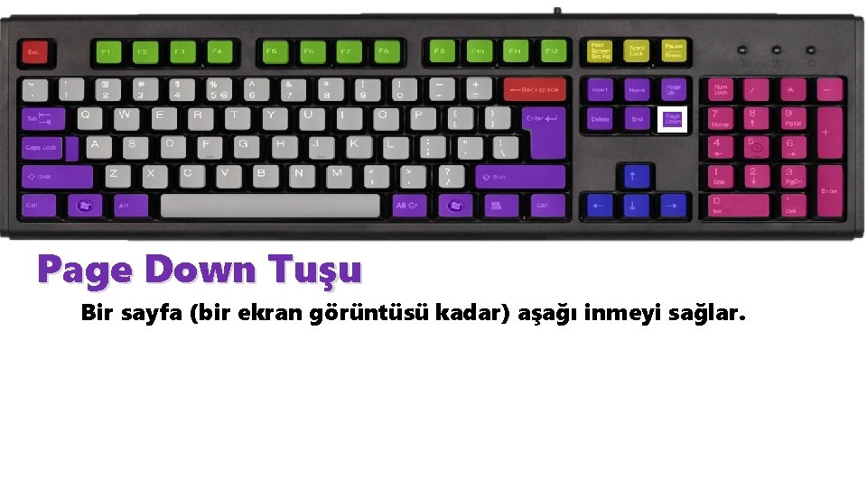 Page Down Tuşu Bir sayfa (bir ekran görüntüsü kadar) aşağı inmeyi sağlar. 