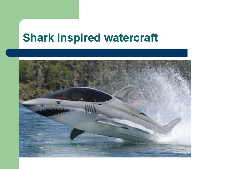 Shark inspired watercraft 