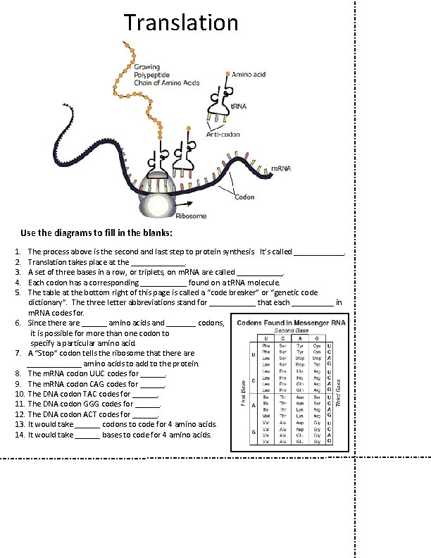 Translation Use the diagrams to fill in the blanks: 1. 2. 3. 4. 5.