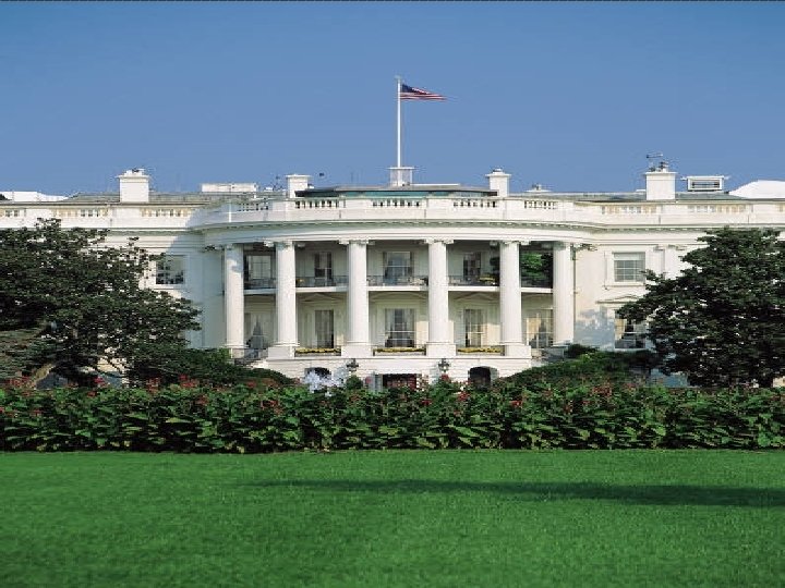 THE EXECUTIVE BRANCH 