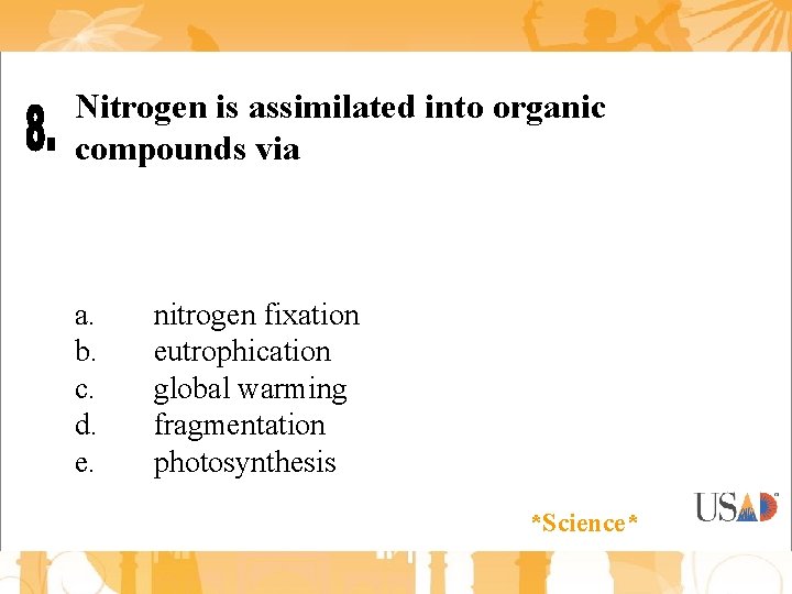 Nitrogen is assimilated into organic compounds via a. b. c. d. e. nitrogen fixation