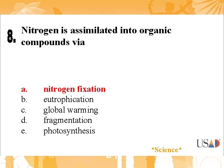 Nitrogen is assimilated into organic compounds via a. b. c. d. e. nitrogen fixation