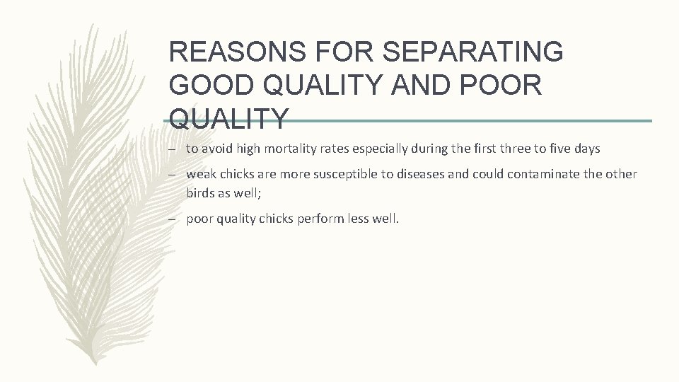 REASONS FOR SEPARATING GOOD QUALITY AND POOR QUALITY – to avoid high mortality rates