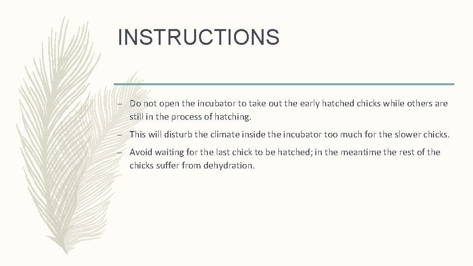 INSTRUCTIONS – Do not open the incubator to take out the early hatched chicks