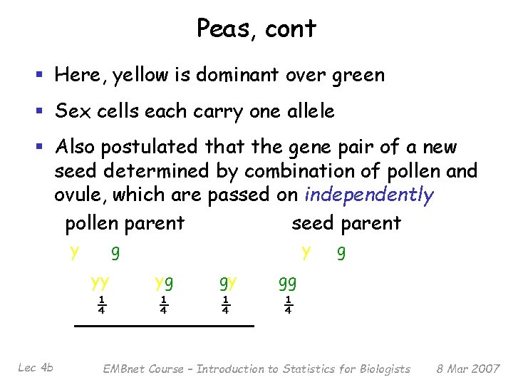 Peas, cont § Here, yellow is dominant over green § Sex cells each carry