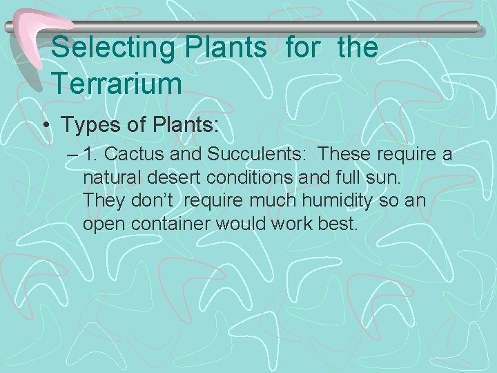 Selecting Plants for the Terrarium • Types of Plants: – 1. Cactus and Succulents: