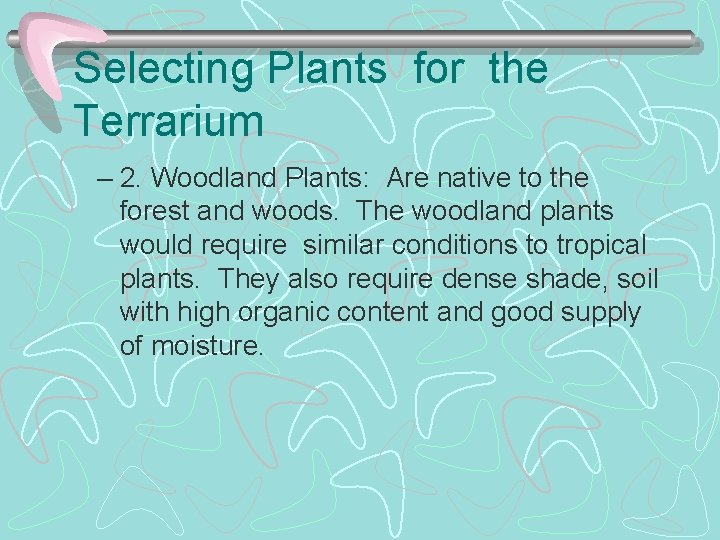 Selecting Plants for the Terrarium – 2. Woodland Plants: Are native to the forest