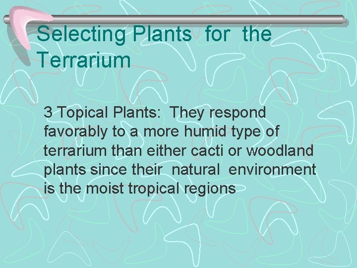 Selecting Plants for the Terrarium 3 Topical Plants: They respond favorably to a more