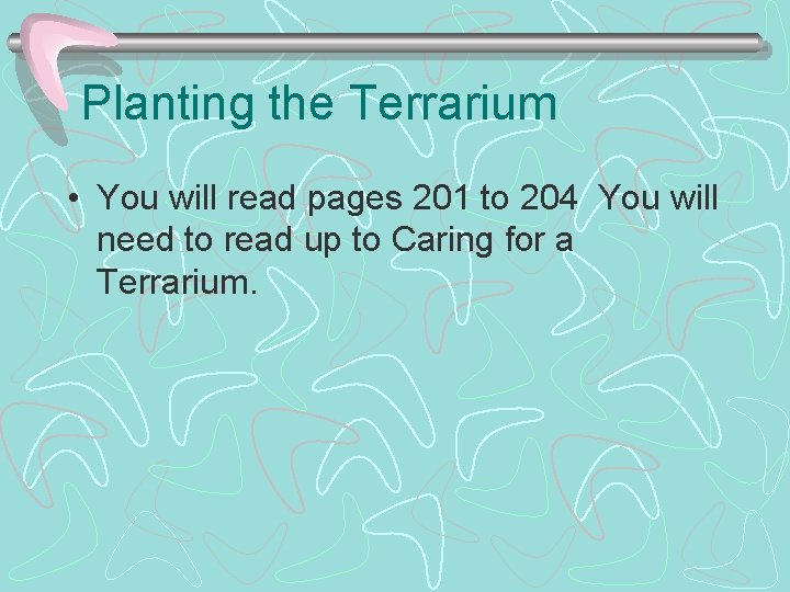 Planting the Terrarium • You will read pages 201 to 204 You will need