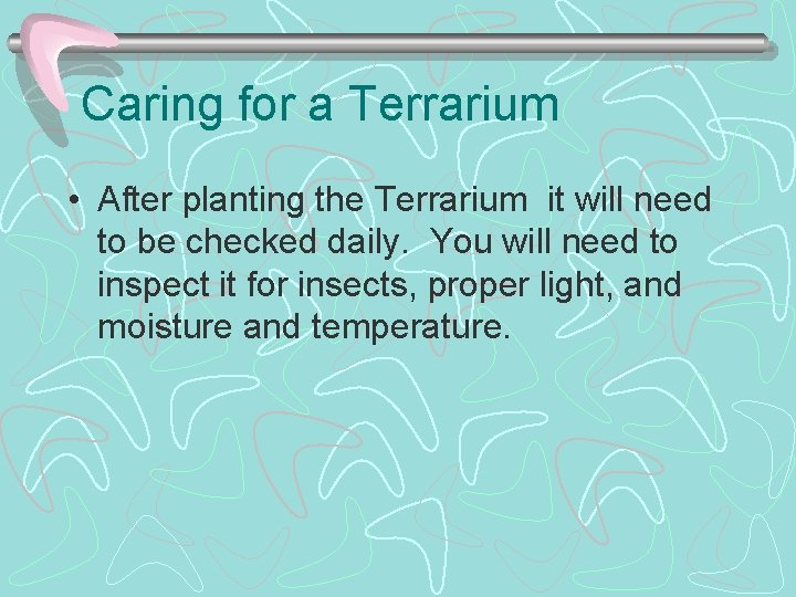 Caring for a Terrarium • After planting the Terrarium it will need to be