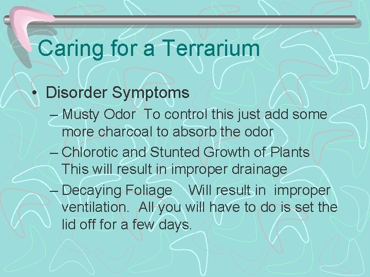 Caring for a Terrarium • Disorder Symptoms – Musty Odor To control this just