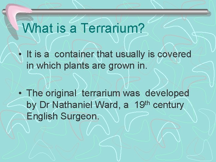 What is a Terrarium? • It is a container that usually is covered in