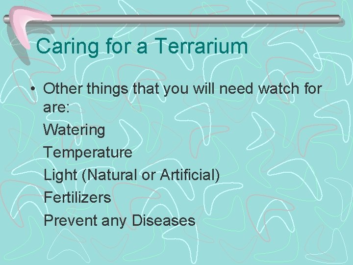 Caring for a Terrarium • Other things that you will need watch for are: