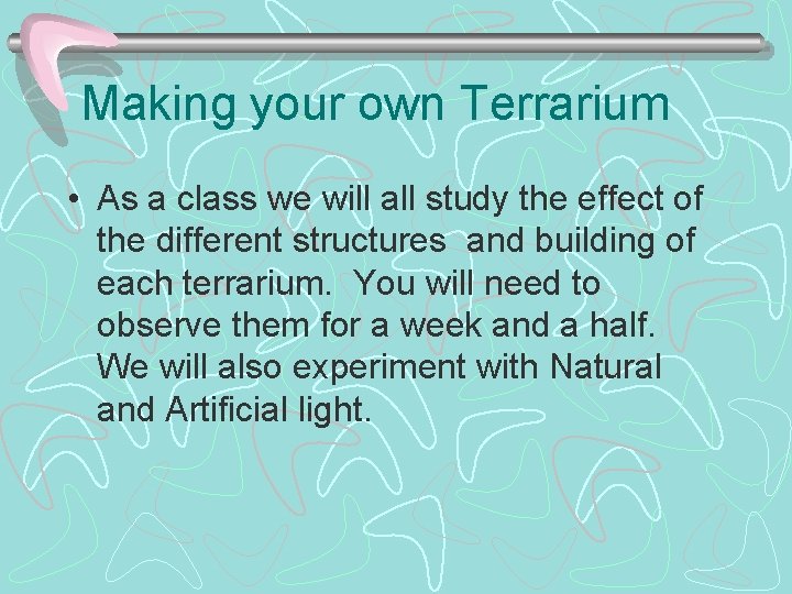 Making your own Terrarium • As a class we will all study the effect