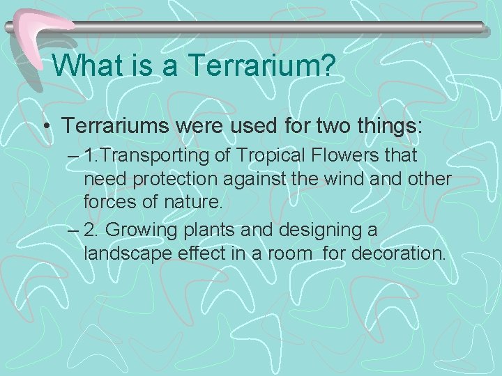 What is a Terrarium? • Terrariums were used for two things: – 1. Transporting