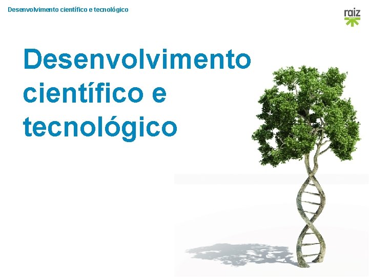 Desenvolvimento científico e tecnológico Exploratório 8 │Carlos D. Pereira • Gabriela Pintão • Joana