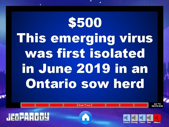 $500 This emerging virus was first isolated in June 2019 in an Ontario sow