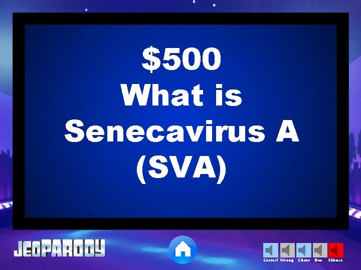 $500 What is Senecavirus A (SVA) Correct Wrong Cheer Boo Silence 