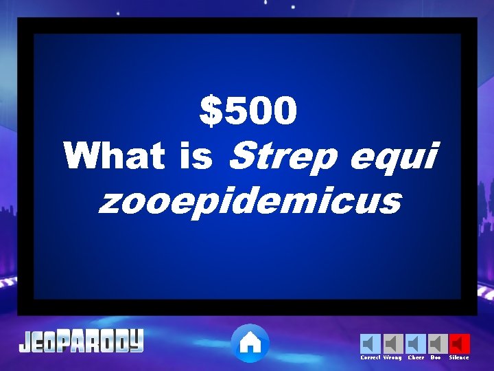 $500 What is Strep equi zooepidemicus Correct Wrong Cheer Boo Silence 