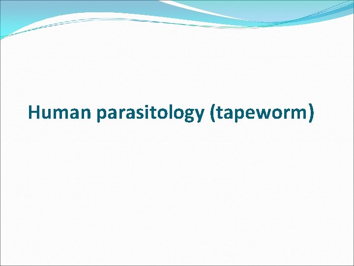 Human parasitology (tapeworm) 