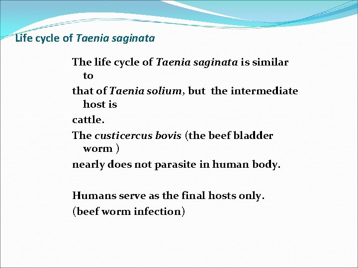 Life cycle of Taenia saginata The life cycle of Taenia saginata is similar to