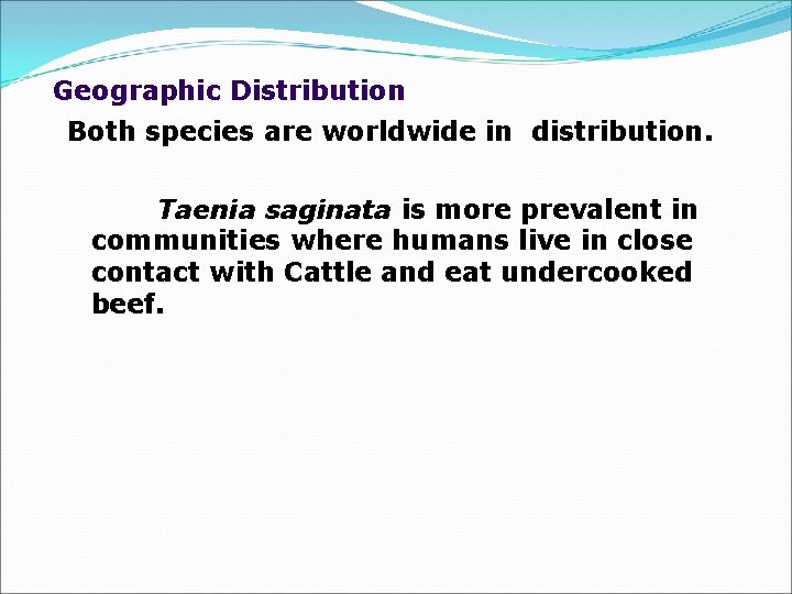 Geographic Distribution Both species are worldwide in distribution. Taenia saginata is more prevalent in