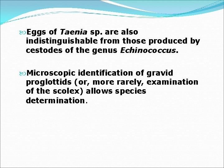  Eggs of Taenia sp. are also indistinguishable from those produced by cestodes of
