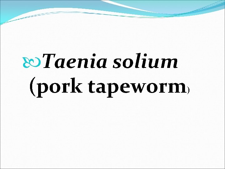  Taenia solium (pork tapeworm) 