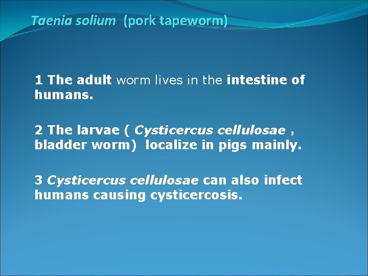 Taenia solium (pork tapeworm) 1 The adult worm lives in the intestine of humans.
