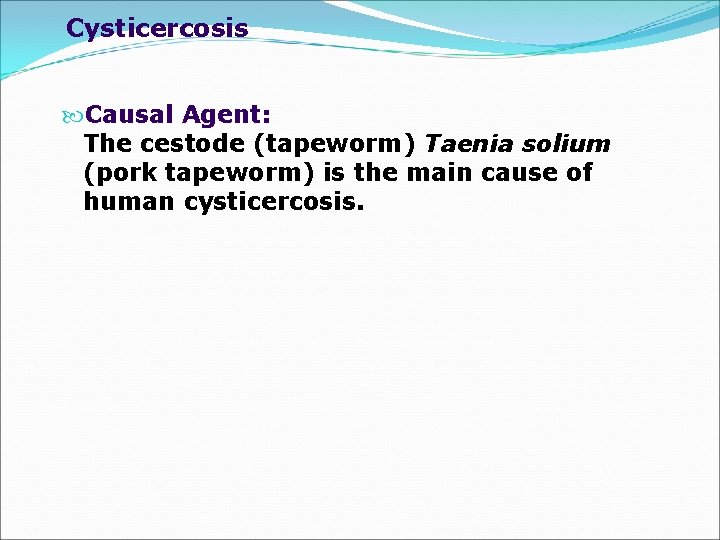 Cysticercosis Causal Agent: The cestode (tapeworm) Taenia solium (pork tapeworm) is the main cause