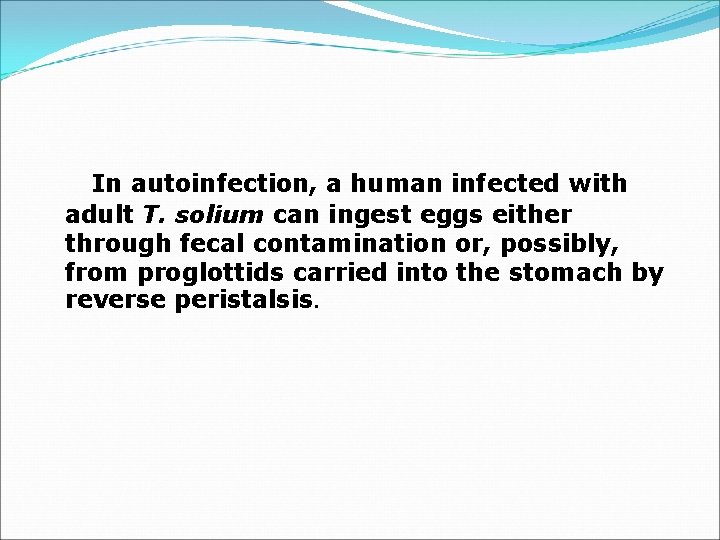 In autoinfection, a human infected with adult T. solium can ingest eggs either through