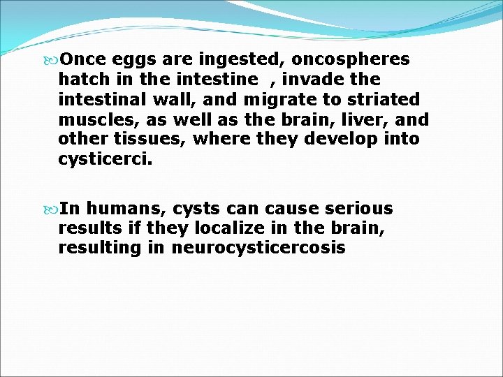  Once eggs are ingested, oncospheres hatch in the intestine , invade the intestinal