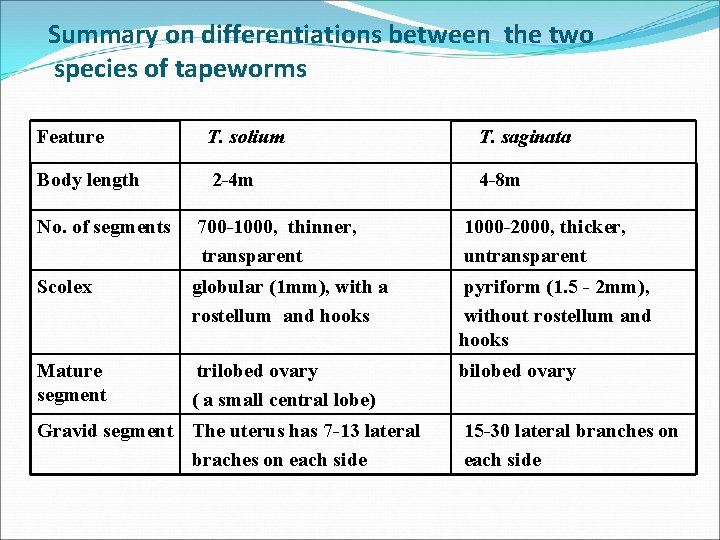 Summary on differentiations between the two species of tapeworms Feature T. solium T. saginata