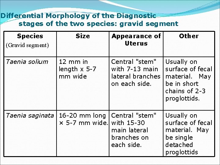 Differential Morphology of the Diagnostic stages of the two species: gravid segment Species (Gravid