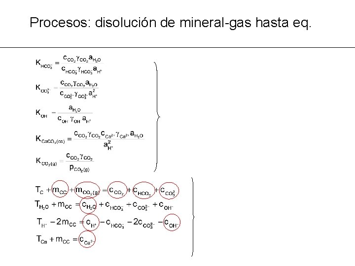 Procesos: disolución de mineral-gas hasta eq. 